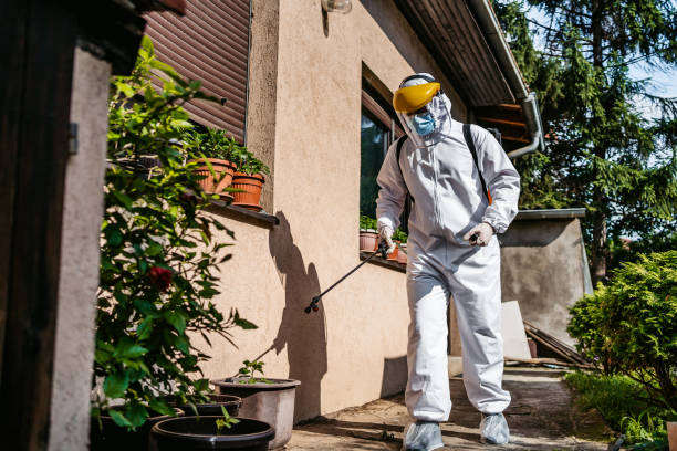 Best Affordable Pest Control Services  in El Granada, CA