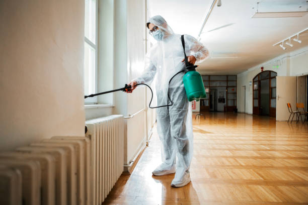 Best Termite Control Services  in El Granada, CA